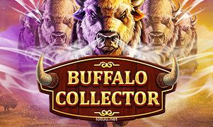 Imagem do jogo Buffalo Collector da Lottu